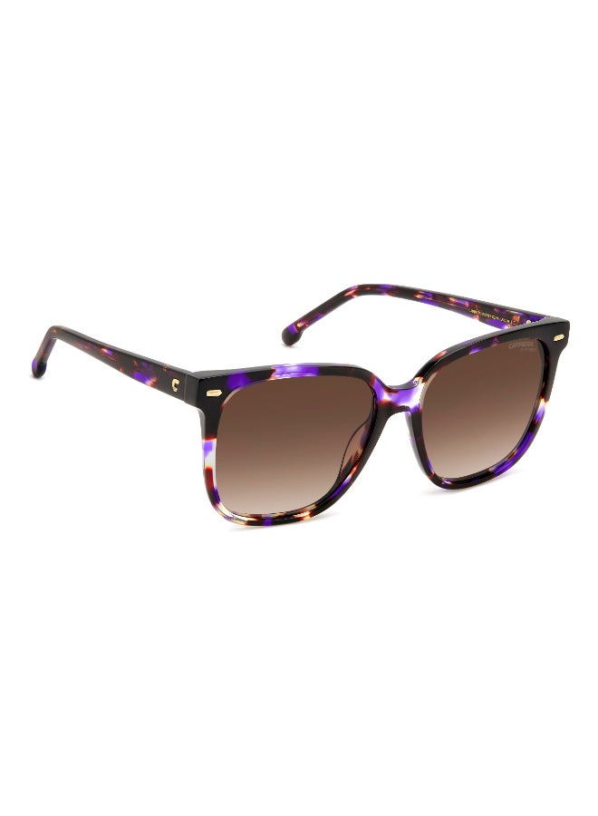 Carrera SQUARE CARRERA SUNGLASSES FRAMES - Image 2
